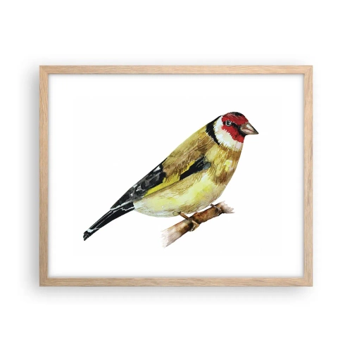 Een poster in een licht eiken lijst - Vogel portret - 50x40 cm