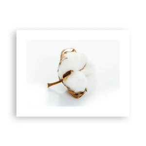 Poster - Zacht van aard - 40x30 cm
