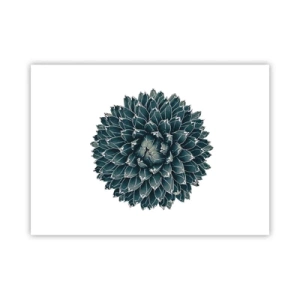 Poster - De ster van de woestijn - 70x50 cm