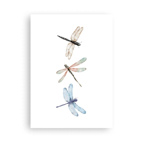 Poster - Gewichtloze libellen - 50x70 cm