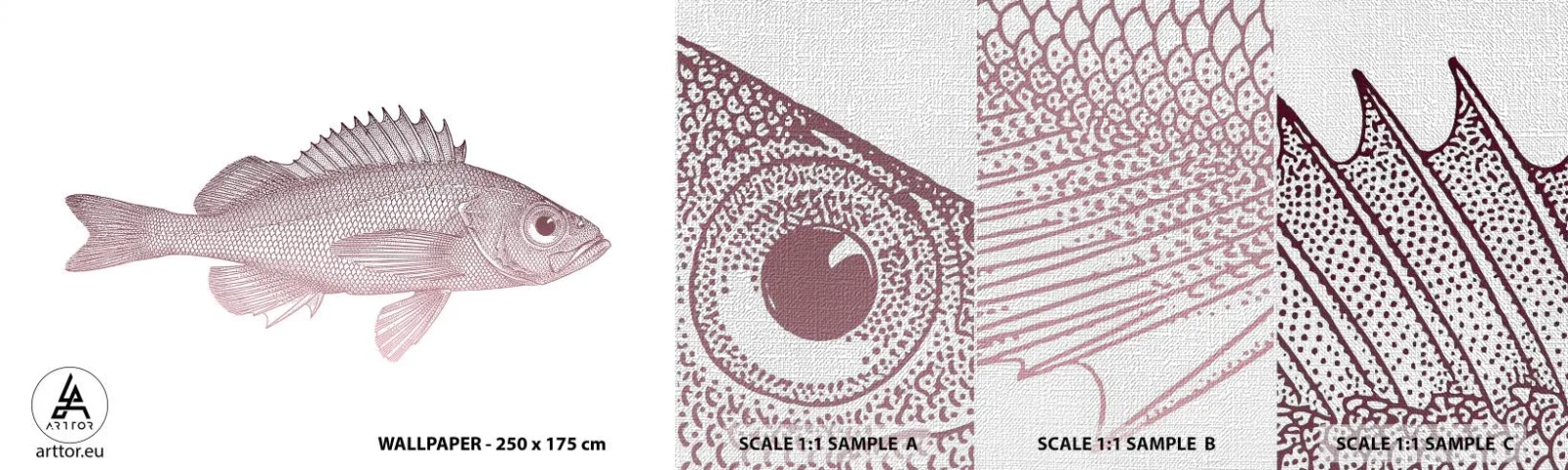 Fotobehang Monster Premium Canvas - Grote ogen vis - Vis, Onderwater, Minimalistisch - 100x30 cm