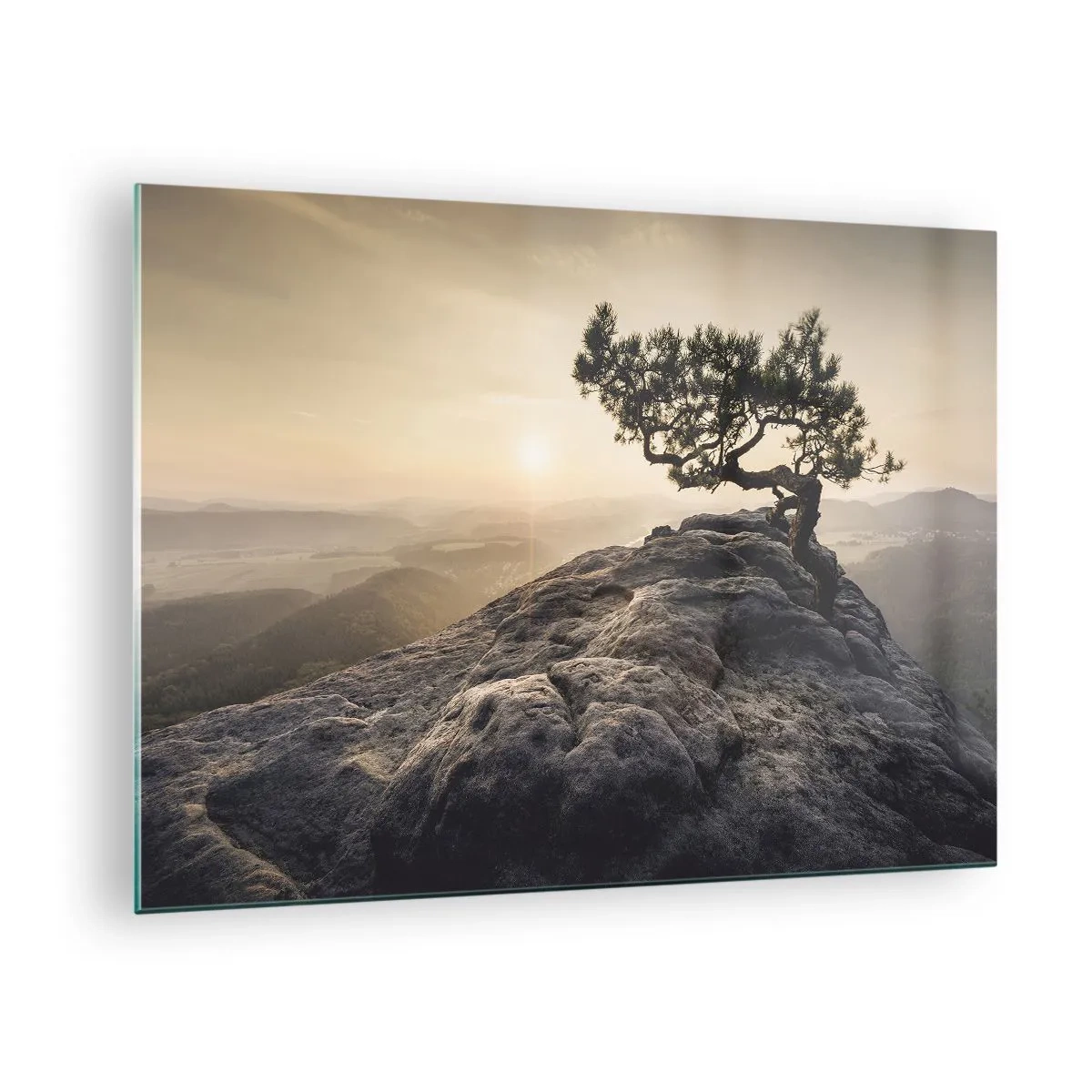 Schilderen op glas - Een boom op een rots in het licht van de opkomende zon - 70x50cm - Het leven wint altijd - Moderne wanddecoratie voor woonkamer en slaapkamer ARTTOR