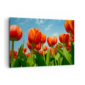 Schilderen op canvas - Afgezien van de blauwe lucht hebben ze niets nodig in hun leven - 120x80 cm