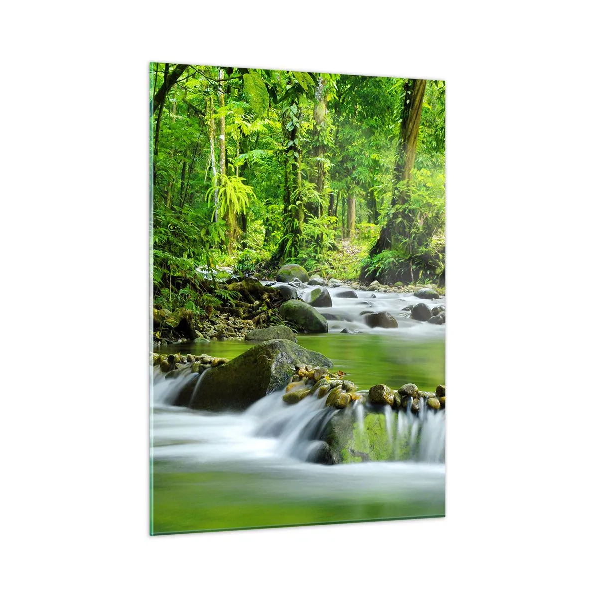 Schilderen op glas - Zwemmen in een zee van groen - 50x70 cm