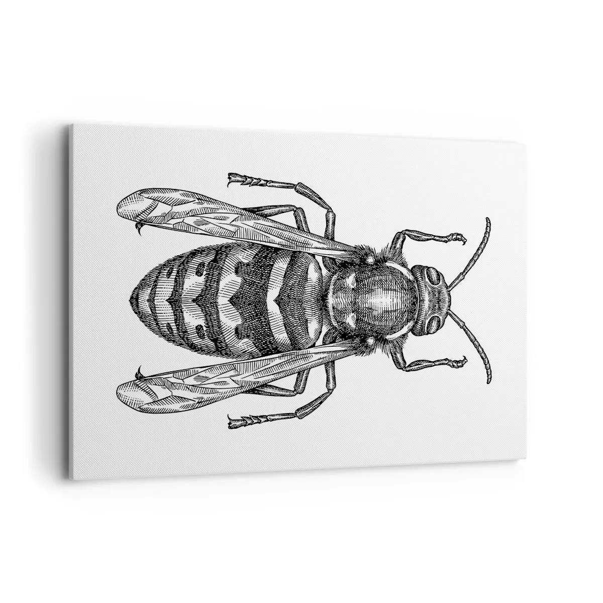 Schilderen op canvas - Van een insectenplaneet - 120x80 cm
