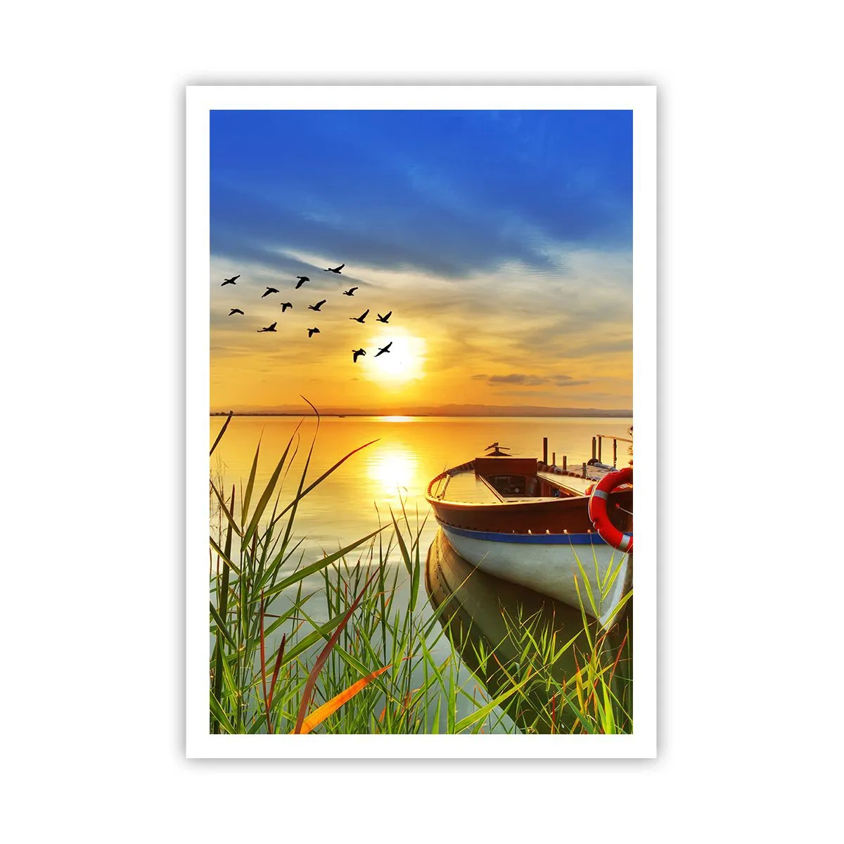 Poster - De aalscholvers vliegen al weg - 70x100 cm