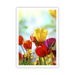 Poster - Alle kleuren van de zon - 70x100 cm