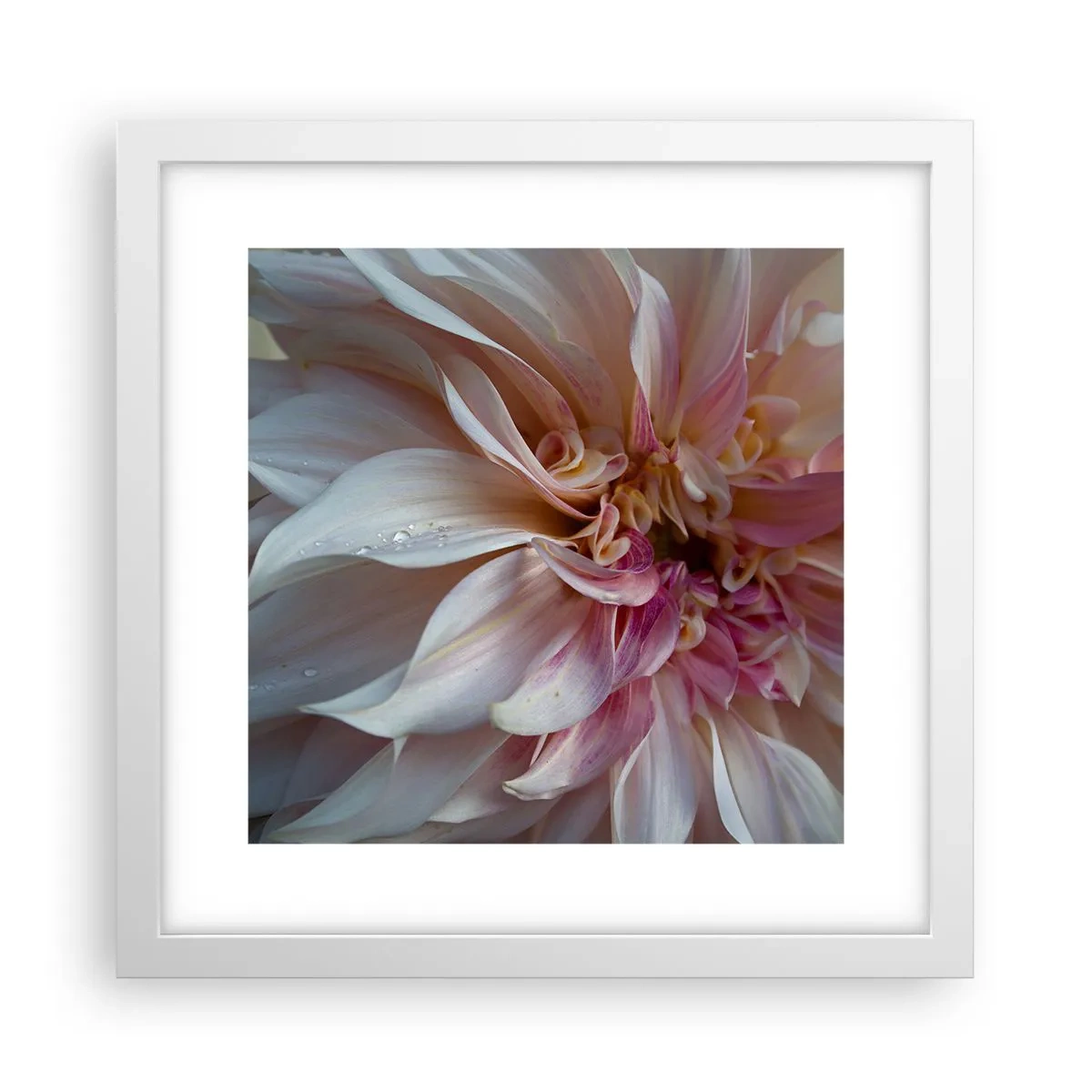 Poster in een witte lijst - Bloeiende frisheid - 30x30 cm