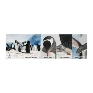 Fotobehang Monster Premium Canvas - Dansen in de sneeuw - pinguïn, Antarctica, Landschap - 100x30 cm