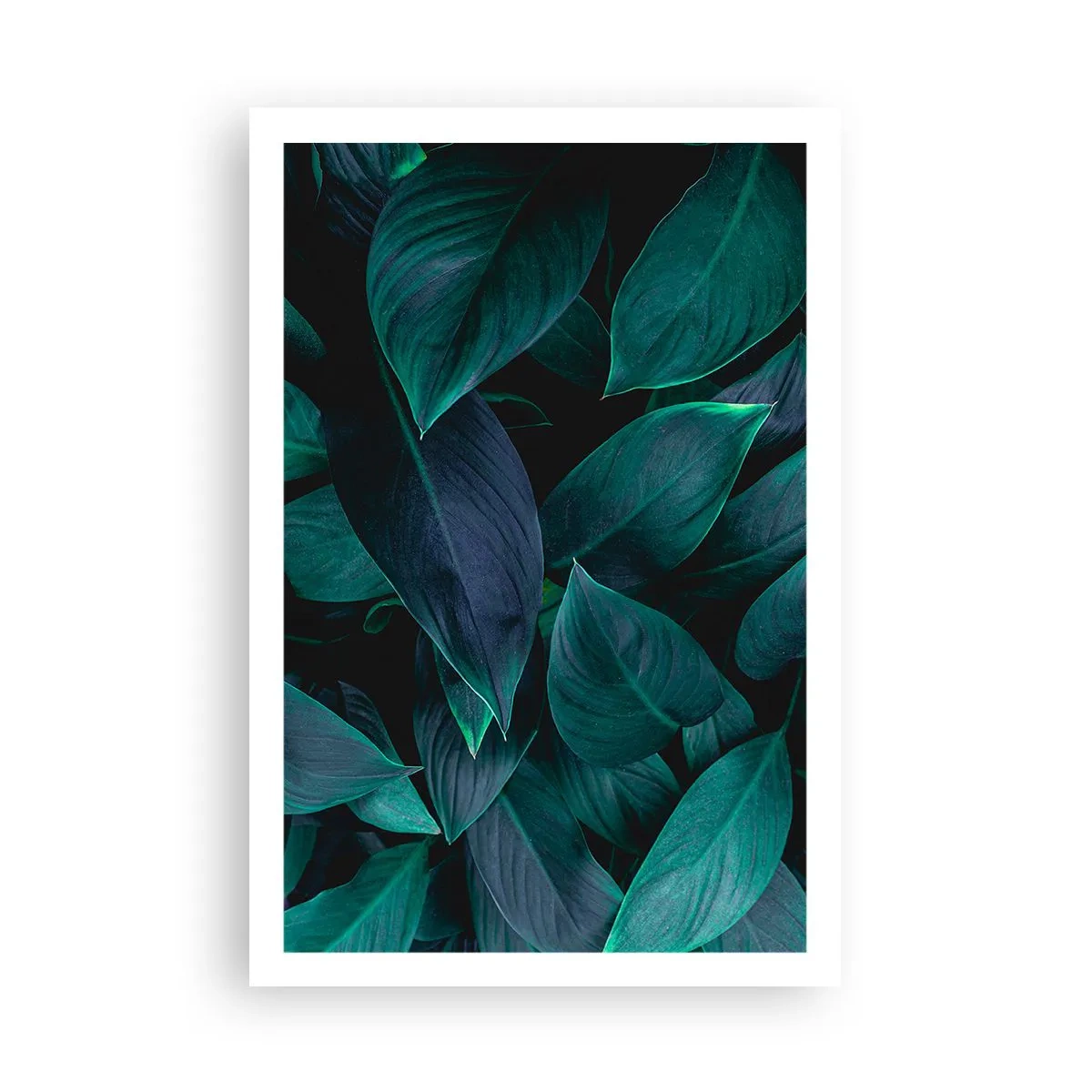 Poster - Groen op zichzelf - 61x91 cm