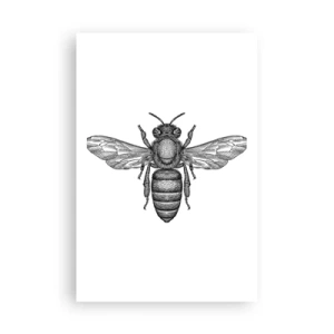 Poster - Insectenportret - 61x91 cm