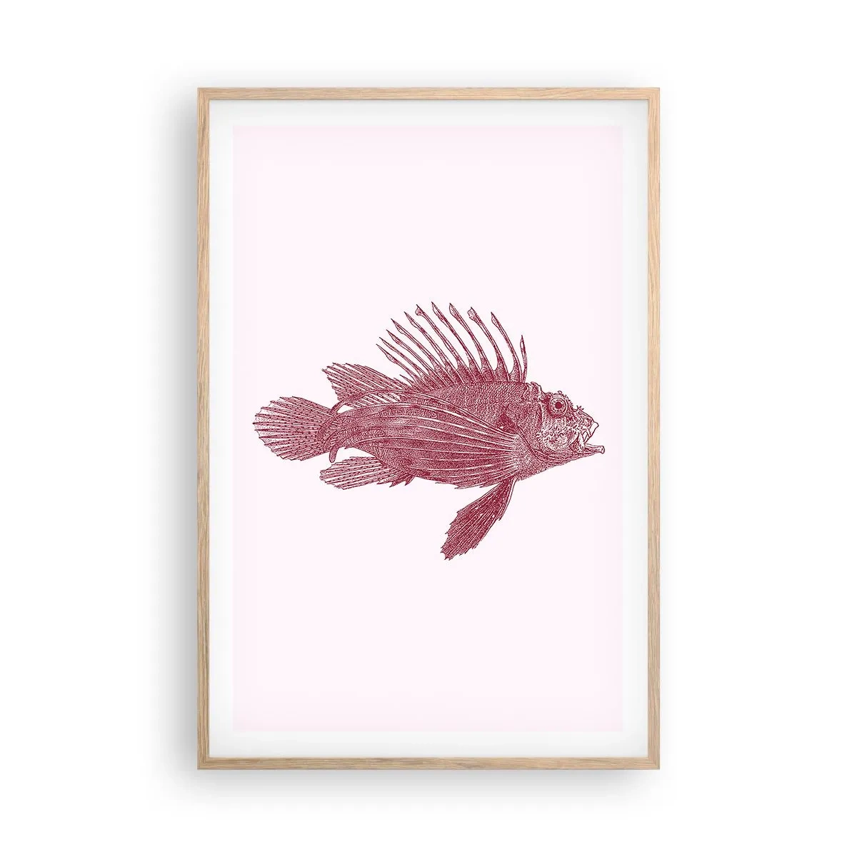 Een poster in een licht eiken lijst - Inwoner van exotische wateren - 61x91 cm