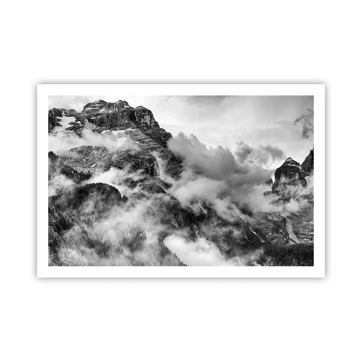 Poster - Mooi en wreed - 91x61 cm