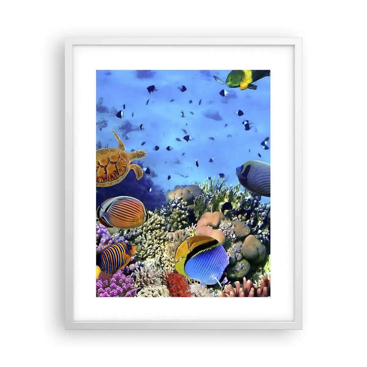 Poster in een witte lijst - En wat weten we over het leven... - 40x50 cm