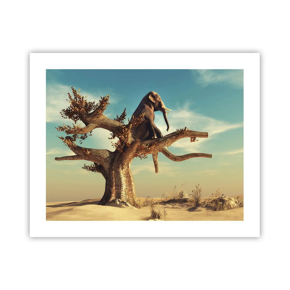 Poster - Een nieuw gezichtspunt - 50x40 cm