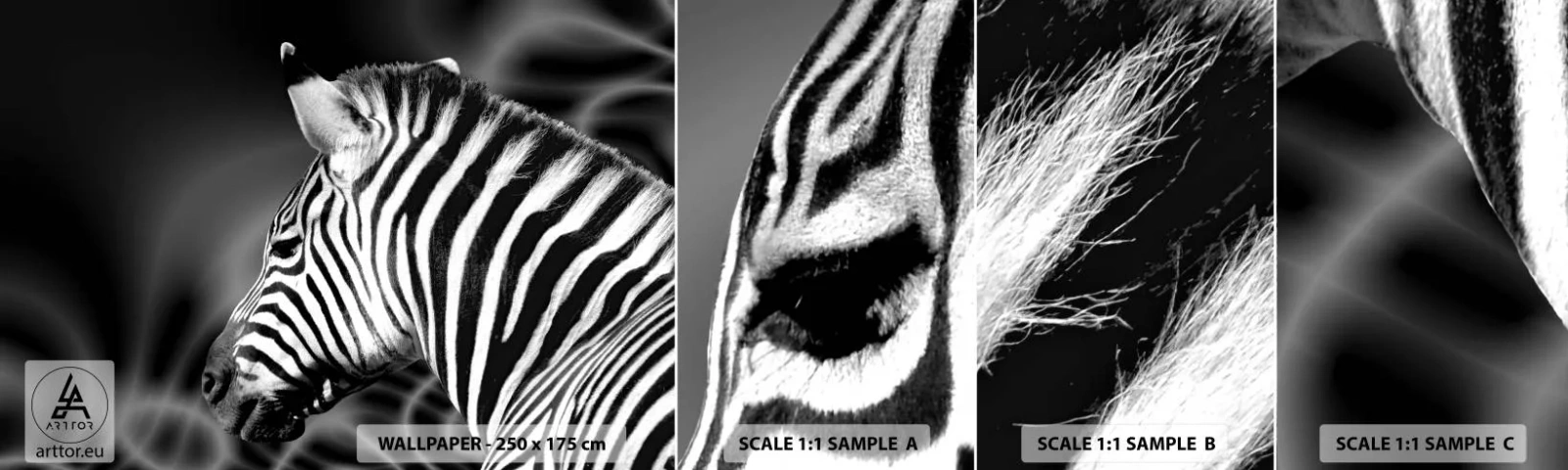 Fotobehang Staaltje Standard Eco - Wit is wit en zwart is zwart - Ribben, Zwart en wit, Dieren - 100x30 cm