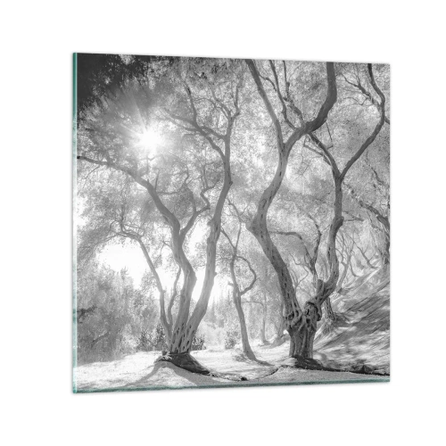 Schilderen op glas - In de olijfboomgaard - 40x40 cm