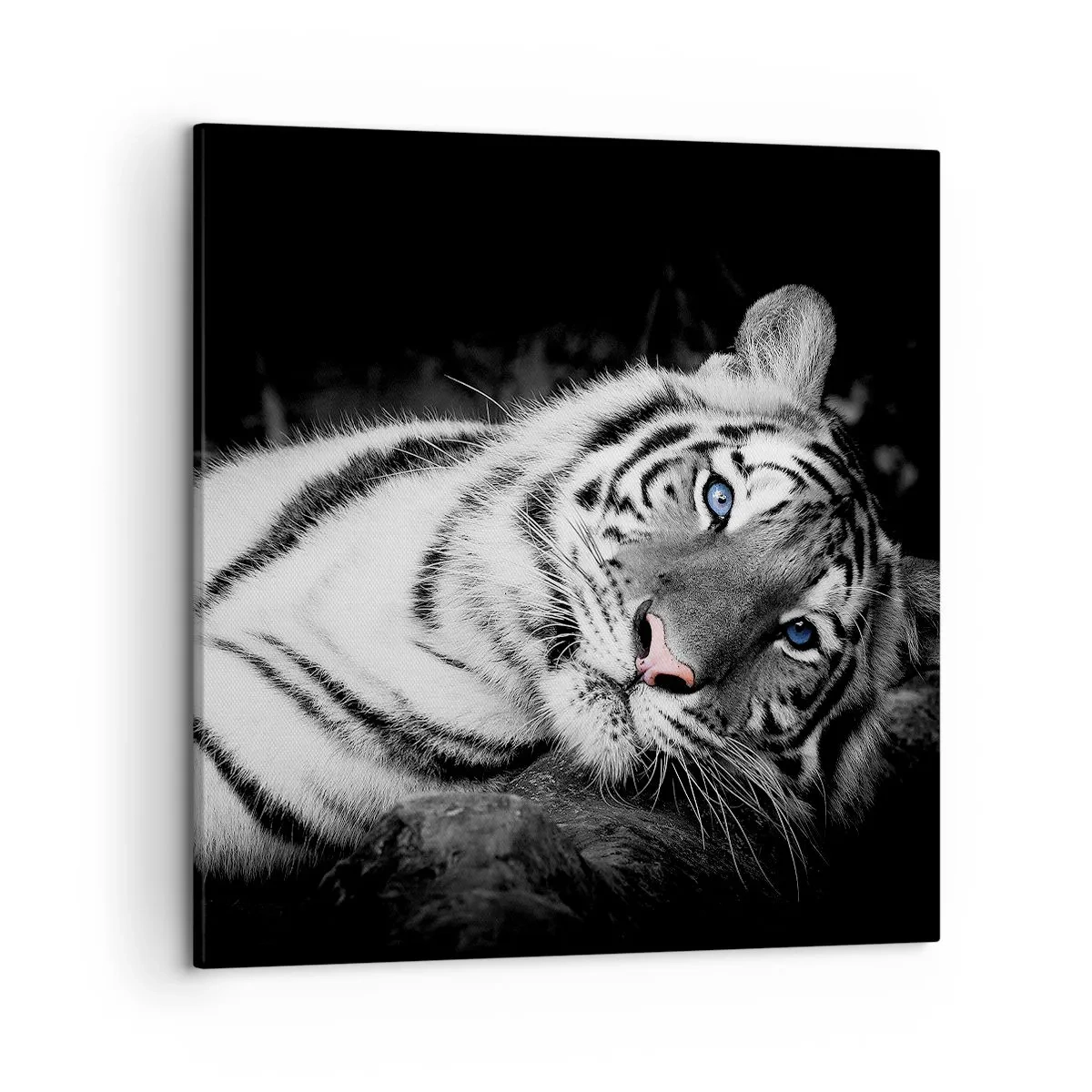 Schilderen op canvas - Wildheid en vrede - 50x50 cm