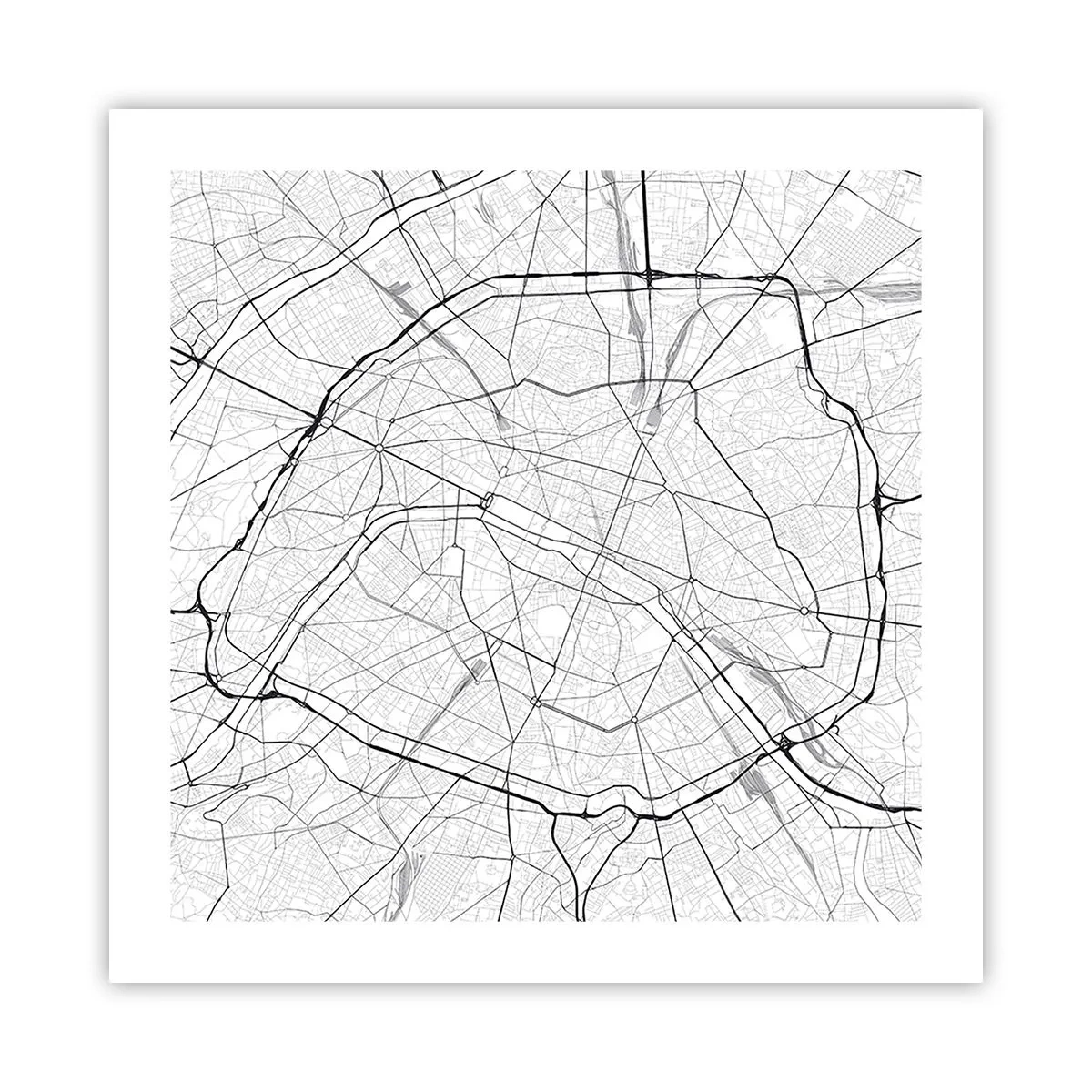 Poster - Parijs bloem - 50x50 cm