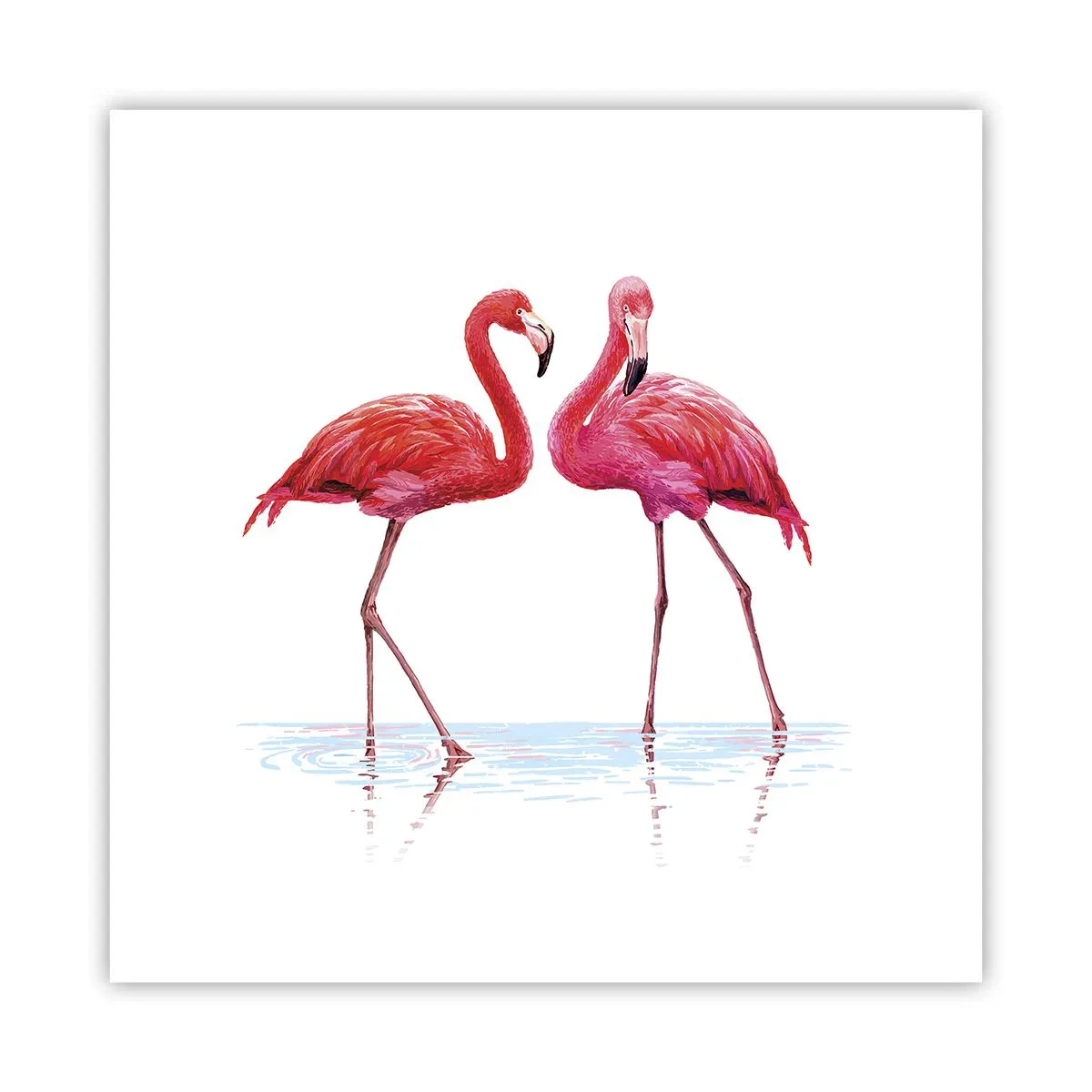 Poster - Roze randez-vous - 30x30 cm