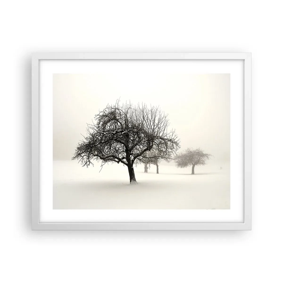 Poster in een witte lijst - Winterslaap - 50x40 cm