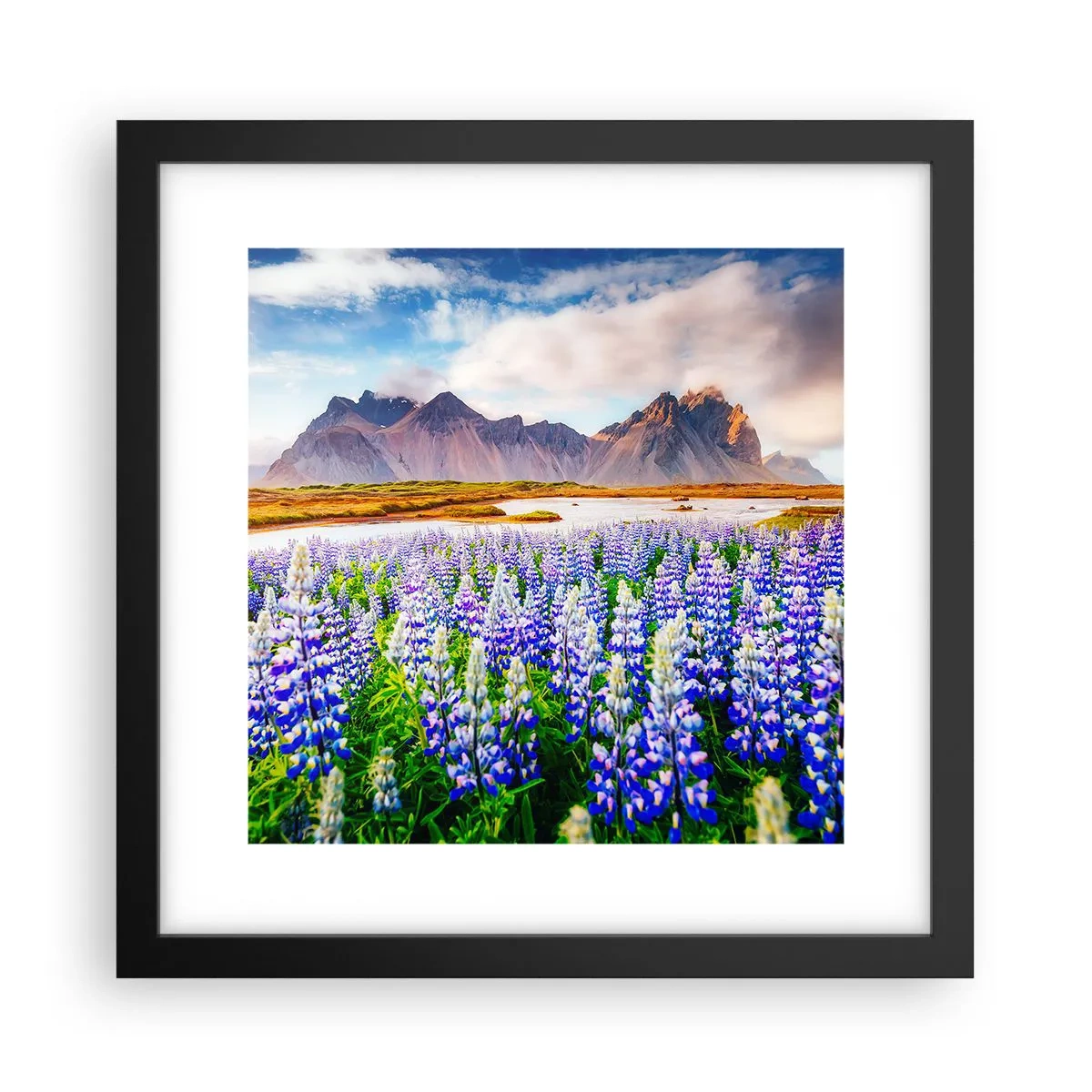 Poster in een zwarte lijst - Kracht en soberheid naast zachtheid - 30x30 cm