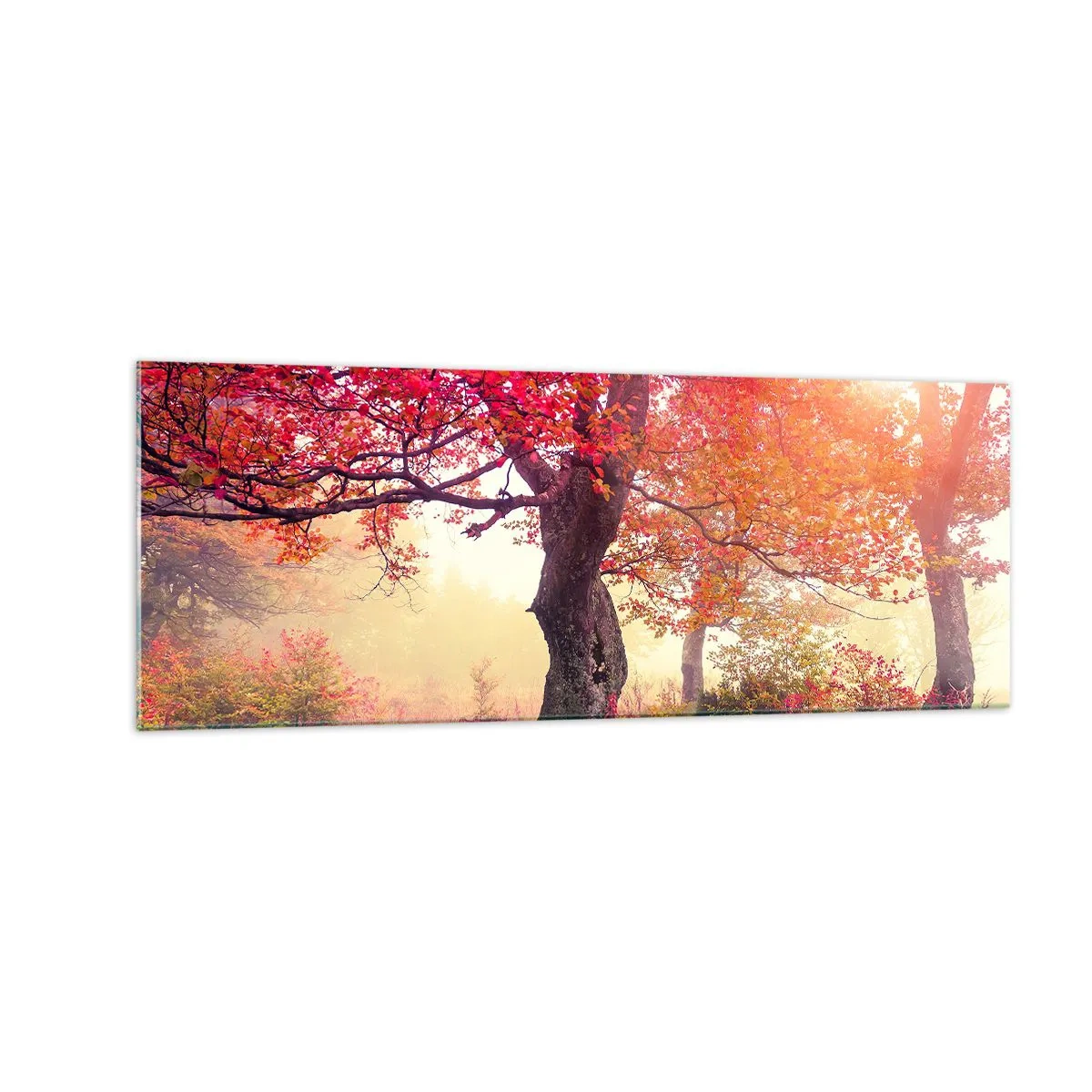 Schilderen op glas - Bloeiende razernij - 140x50 cm
