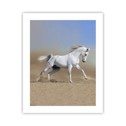 Poster - Het mooiste Arabische sprookje - 40x50 cm