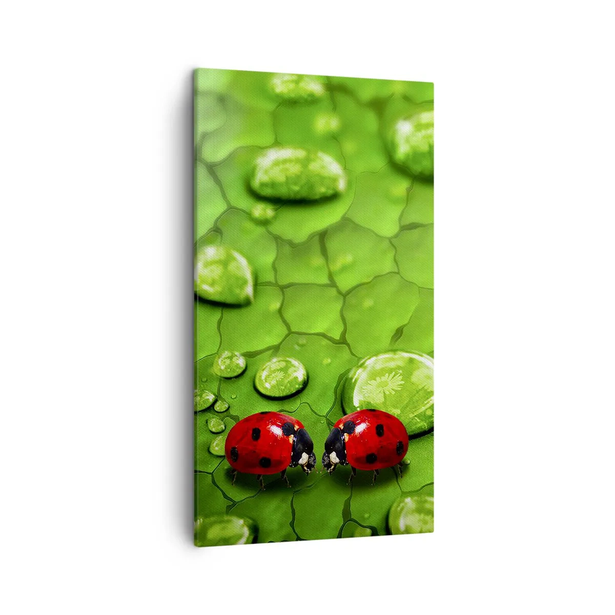 Schilderen op canvas - Ontmoeting in het groen - 45x80 cm