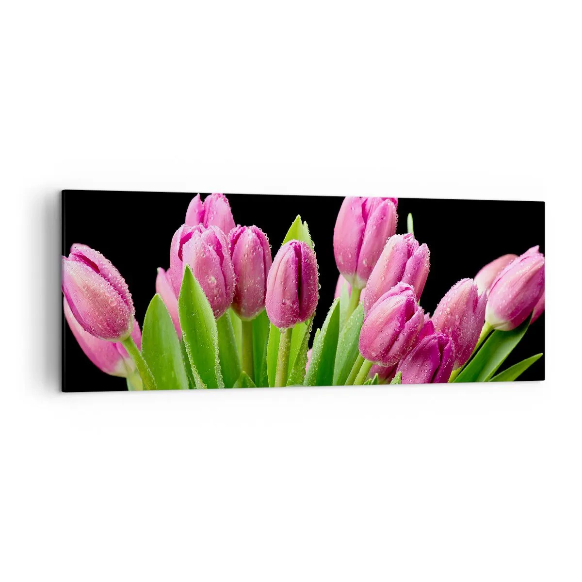 Schilderen op canvas - Lila vreugde van de lente - 140x50 cm