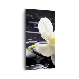 Schilderen op canvas - Een studie in zwart-wit - 65x120 cm