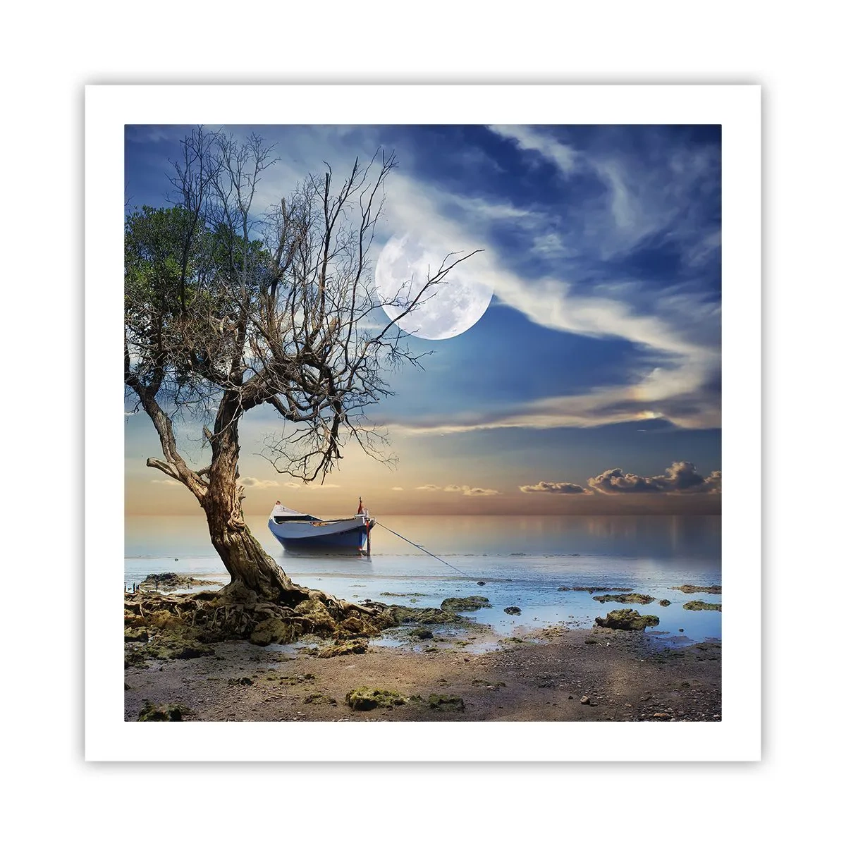 Poster - Is dit het einde of het begin? - 60x60 cm