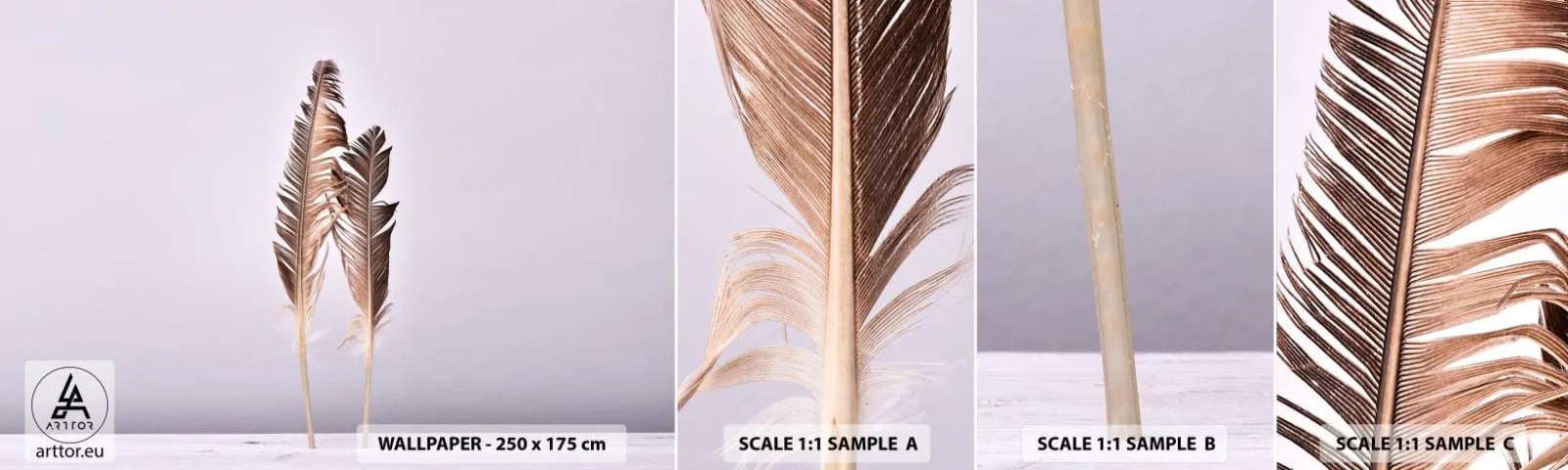 Fotobehang Staaltje Standard Eco - Tegen het niets - Vogelveer, Deel, Grafisch - 100x30 cm