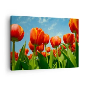 Schilderen op canvas - Een veld met rode en oranje tulpen tegen een blauwe lucht - 70x50cm - Afgezien van de blauwe lucht hebben ze niets nodig in hun leven - Moderne wanddecoratie voor woonkamer en slaapkamer ARTTOR