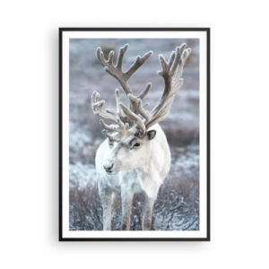 Poster in een zwarte lijst - Portret in de zon - 70x100 cm