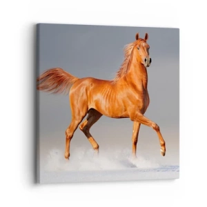 Schilderen op canvas - Dansende elegantie - 30x30 cm