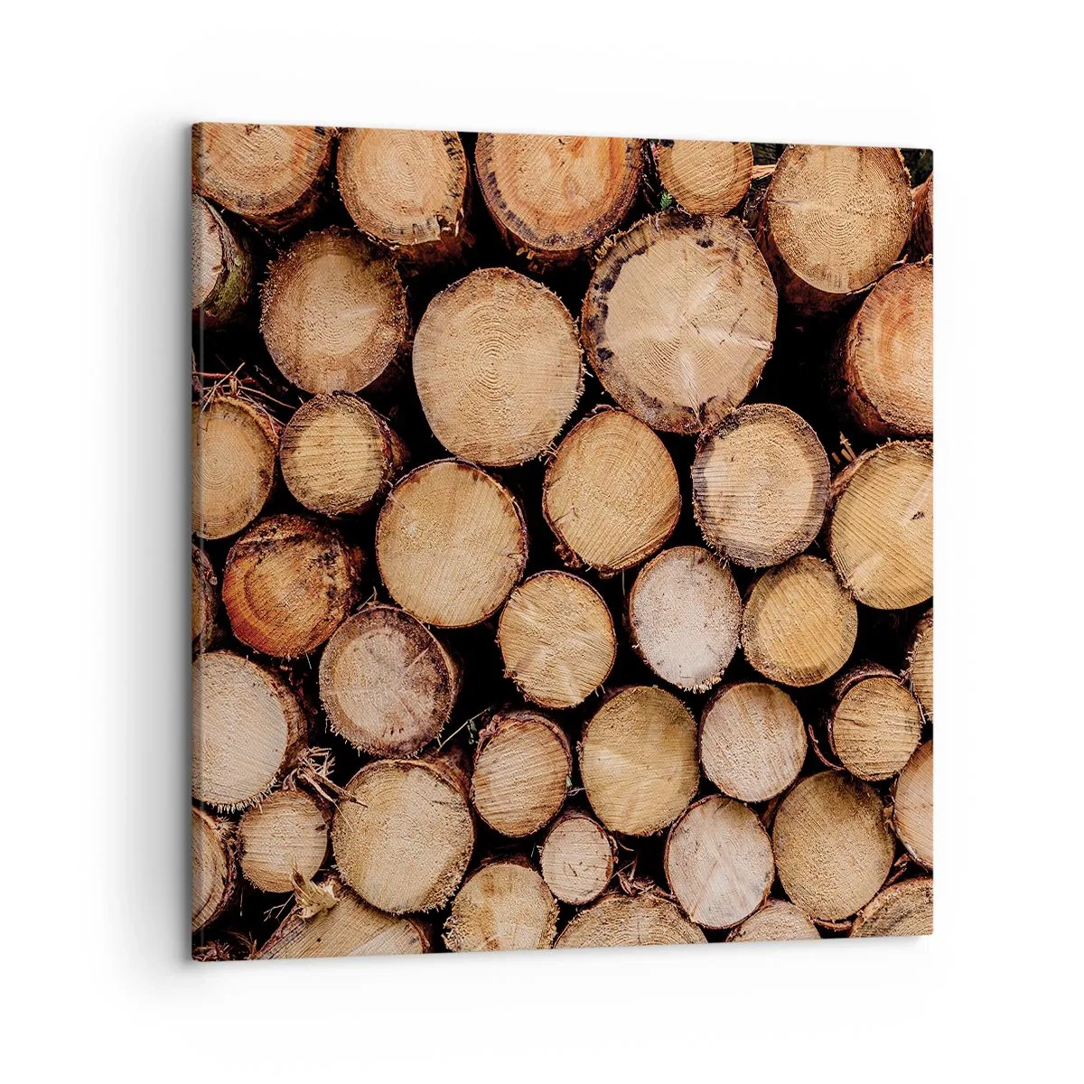 Schilderen op canvas - Een nieuw begin - 50x50 cm