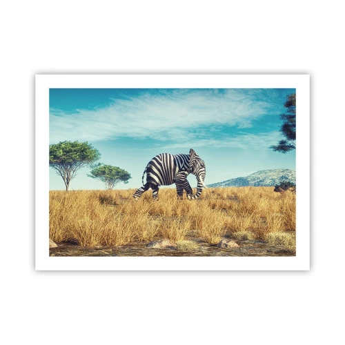 Poster - Grijs is niet meer in de mode - 70x50 cm