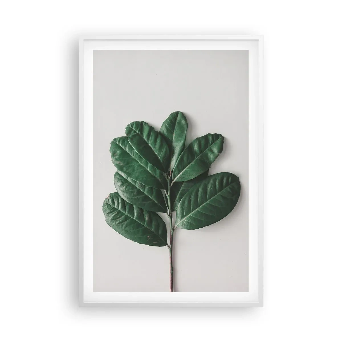 Poster in een witte lijst - Een tekening van de pure natuur - 61x91 cm