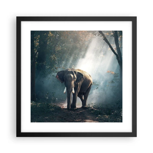 Poster in een zwarte lijst - Een ontspannen wandeling - 40x40 cm