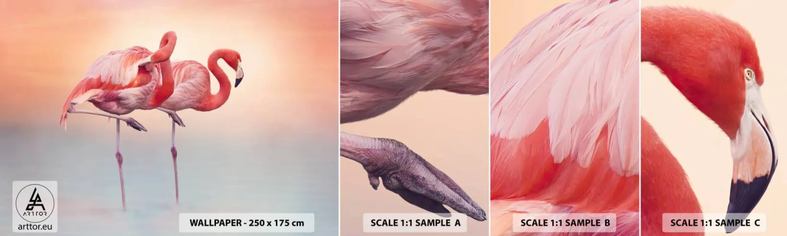 Fotobehang Staaltje Standard Eco - De kleur van de ondergaande zon - Flamingo's, Vogels, Natuur - 100x30 cm