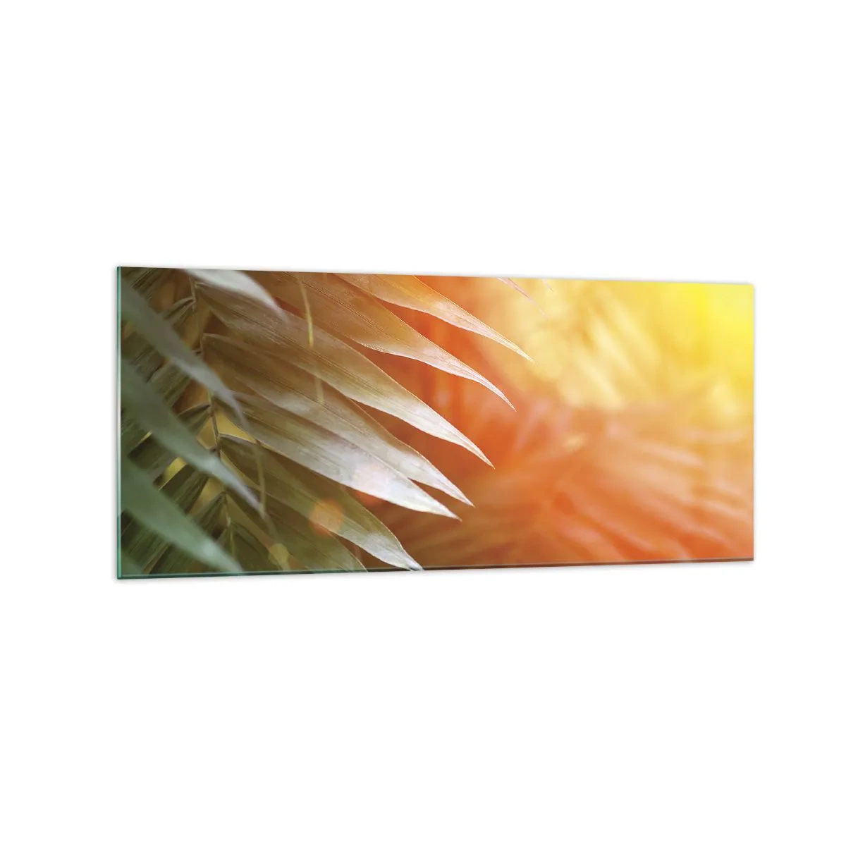 Schilderen op glas - Ochtend in de jungle - 120x50 cm