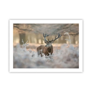 Poster - Een frisse ochtend - 70x50 cm