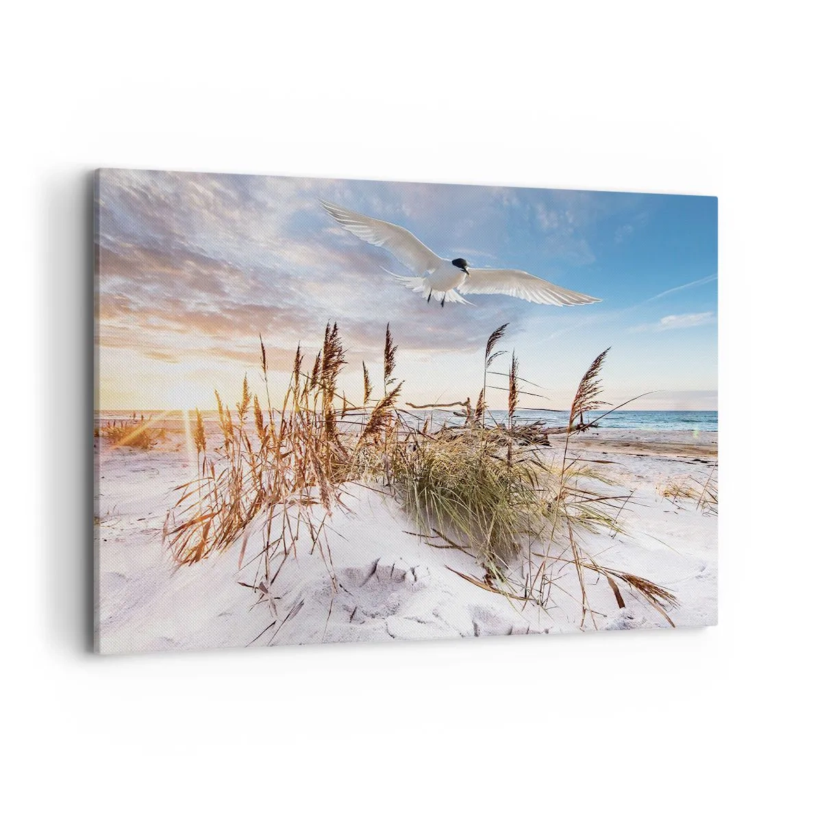 Schilderen op canvas - Wind uit zee - 100x70 cm