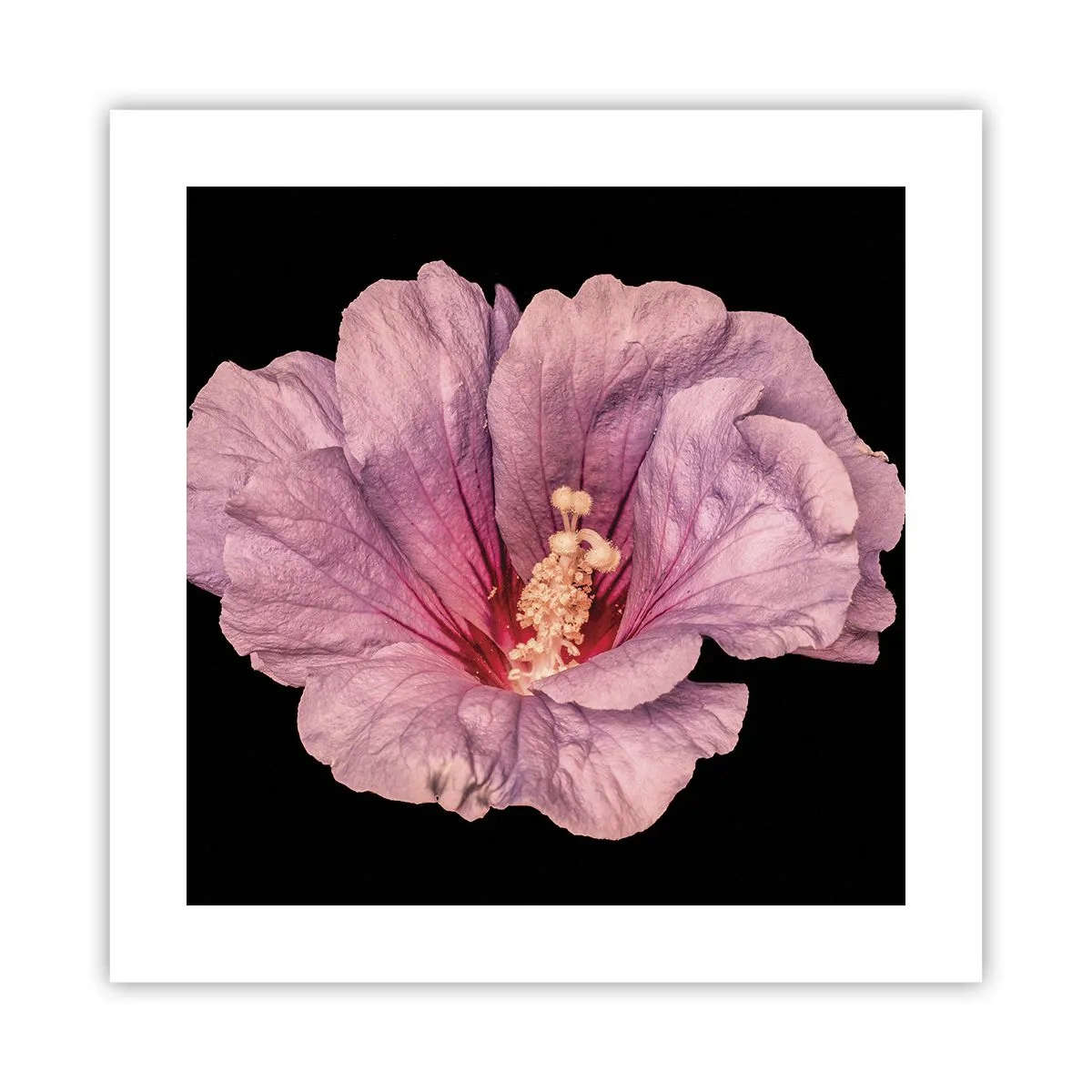 Poster - Recht in het hart - 40x40 cm