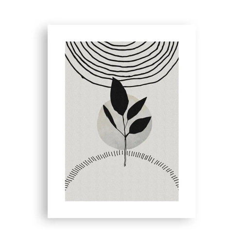 Poster - Compositie: natuurrituelen - 30x40 cm