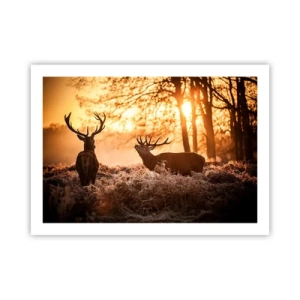 Poster - De droom van een jager - 70x50 cm