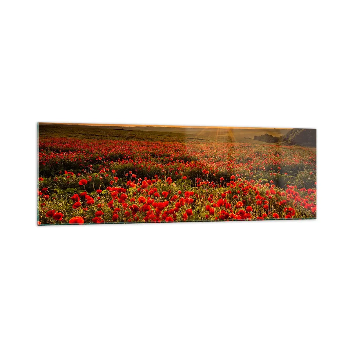 Schilderen op glas - Tussen de golven van ruisende weiden, tussen de bloemen van de vloed - 160x50 cm