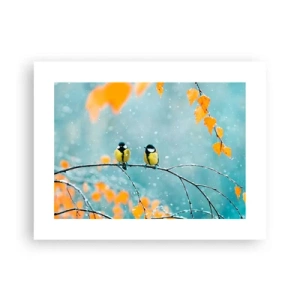 Poster - Vogelroddel - 40x30 cm