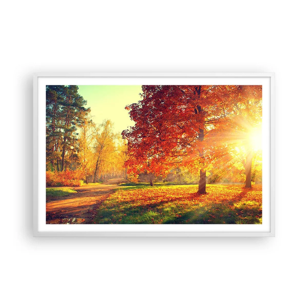 Poster in een witte lijst - Rood is mooi - 91x61 cm
